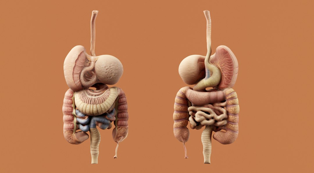 How Gut Health and Inflammation Are Connected to Joint Pain